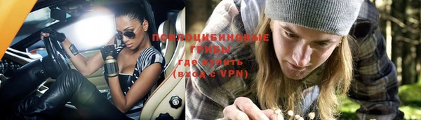 индика Абдулино