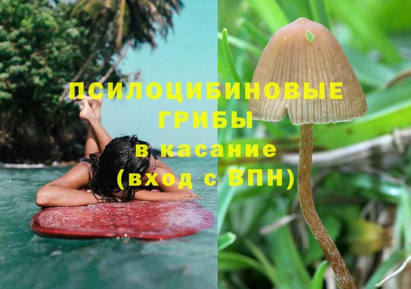 индика Абдулино