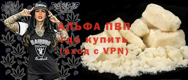 индика Абдулино