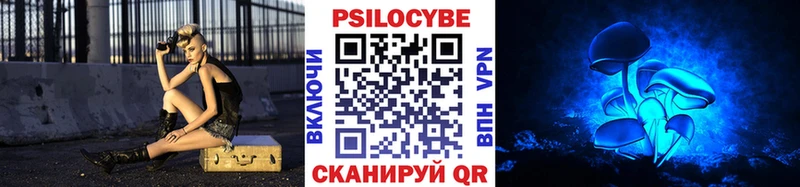 Галлюциногенные грибы Psilocybe  Зерноград 